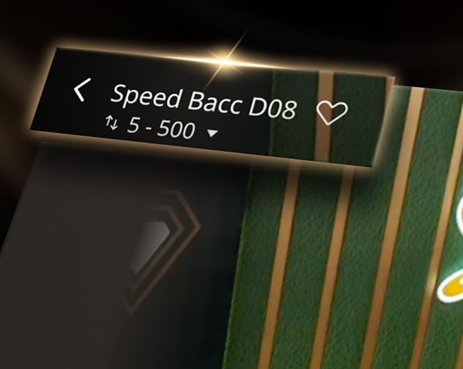 Close-up of an online Baccarat game interface displaying the table name 'Speed Bacc D08' and a betting range indicator showing '5 - 500' with arrow symbols.